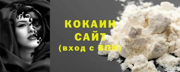 мдпв Магас