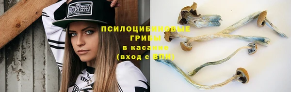 стафф Лихославль