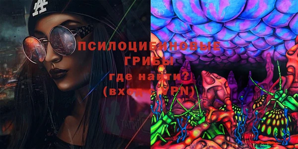 дурь Магадан