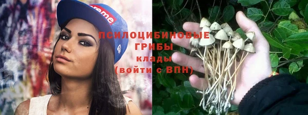дурь Магадан