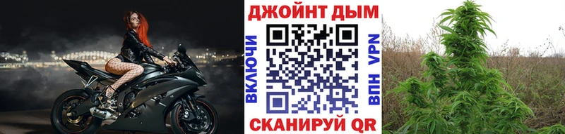 цены наркотик  Удачный  Конопля тримм 
